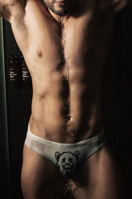 Lovesick Briefs - Rawr